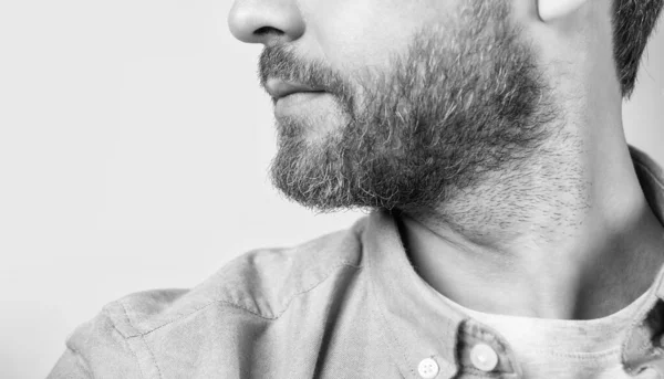 Corte Closeup Homem Barbudo Com Barba Vestindo Camisa Casual Homem — Fotografia de Stock