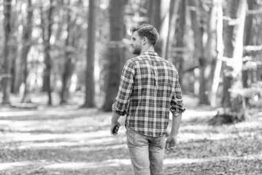 back view of walking man walk outside. walking man wearing checkered shirt for a walk. photo of walking man walk in the forest. walking man walk outdoor.