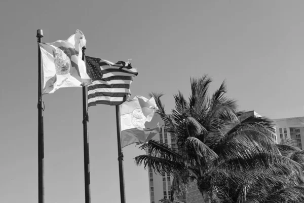 United States, Florida and Miami flags waving on flagpoles on blue sky.