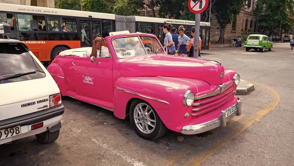 Havanna Kuba 2019 Május Rózsaszín Retro Taxi Ford Car Grancar — Stock Fotó