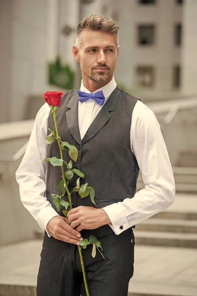 爱日的概念 优雅的燕尾服男人带着爱的玫瑰 情人节送花礼物 — 图库照片