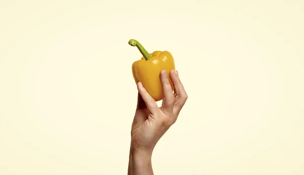 Sweet Pepper Vegetable Hand Isolated White Background Vitamin — Foto de Stock