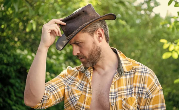 stock image bearded man in cowboy hat. sexy cowboy in checkered shirt. western cowboy wearing hat.