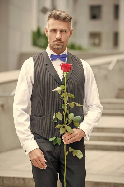 Love Day Concept Tuxedo Man Love Rose Flower Gift Love — стоковое фото