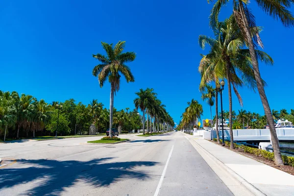 Tropische Palme Zielort Einem Sonnigen Tag Landschaftlich Reizvolle Fahrt Mit — Stockfoto