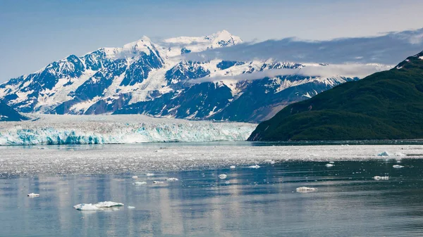 Зеленый Горный Берег Природный Альпийский Пейзаж Горный Пейзаж Ледяным Океаном — стоковое фото