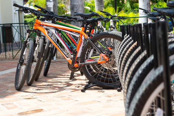 Santo Domingo República Dominicana Febrero 2016 Alquiler Bicicletas Estacionamiento Enfoque — Foto de Stock