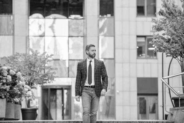 Επαγγελματίας Προϊστάμενος Που Περπατάει Επίσημα Ρούχα Ενήλικος Αφεντικό Έξω Αφεντικό — Φωτογραφία Αρχείου