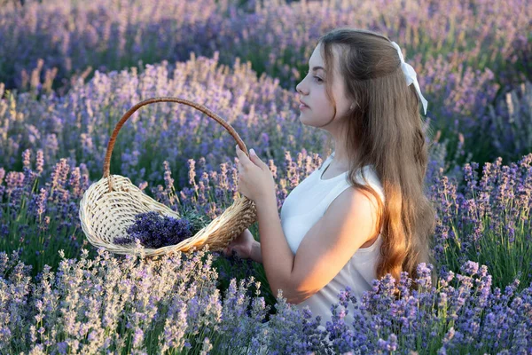 Nettes Mädchen Der Lavendelprovence Während Der Sommerferien Porträt Eines Mädchens — Stockfoto