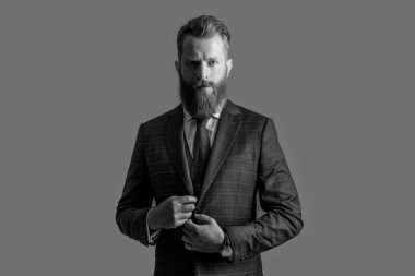 Resmi iş patronunun stüdyo fotoğrafı. Takım elbise ve iş kravatı patron. Takım elbiseli patron gri arka planda izole edilmiş. İş patronu resmi kıyafet giyer..