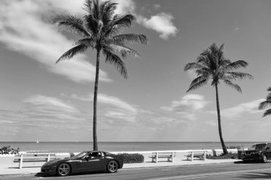 Palm Beach, Florida ABD - 21 Mart 2021 Palm Beach 'te deniz manzaralı ve palmiyeli Chevrolet Corvette lüks otomobil