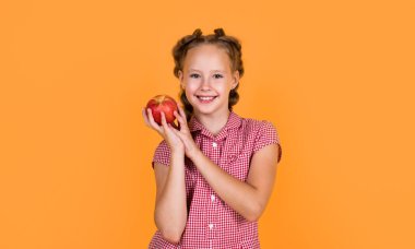 taze ve sulu. Sağlıklı yemek ve yemek. Neşeli çocuk meyve yer. Vitamin dolu. Çocuk kırmızı elma tutuyor. Vejetaryen diyeti. Sonbahar hasadı. Mutlu genç kız elmayı tutuyor. Mutlu ve sağlıklı bir çocukluk.