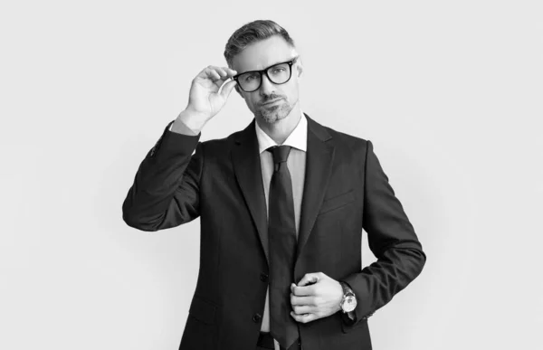 成熟した最高経営責任者 Ceo はグレーの背景にスーツや眼鏡のようなビジネスを着て — ストック写真
