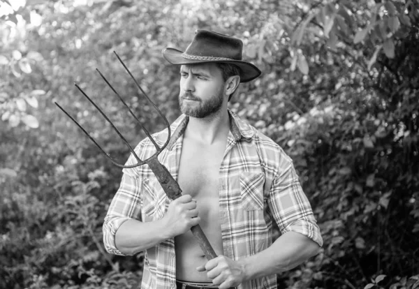 ヘイフォークを持ってる真剣な男 カウボーイハットをかぶって屋外でシャツを着ているUnshaven男 男農家自然背景 — ストック写真