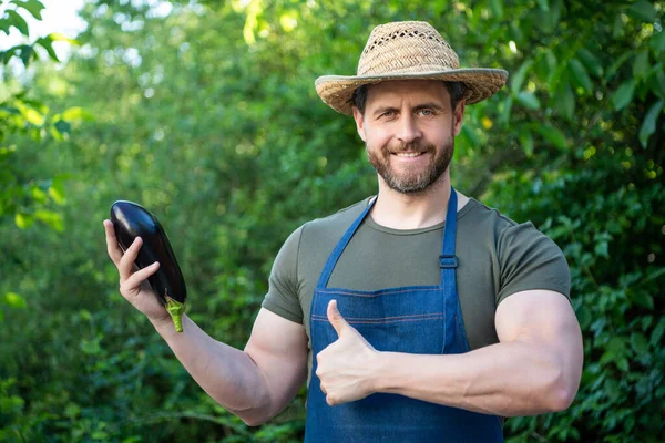 stock image man greengrocer in straw hat with eggplant vegetable. thumb up.