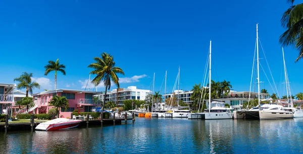 Miami Florida Usa Březen 2023 Letní Dovolená Přístav Plachetnicemi — Stock fotografie