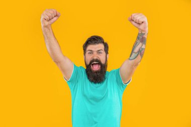 Sarıda sakallı başarılı vahşi adamın portresi. Stüdyoda sakallı vahşi bir adamın portresi. Arka planda sakallı vahşi bir adamın portresi. Sakallı vahşi bir adamın portresi..