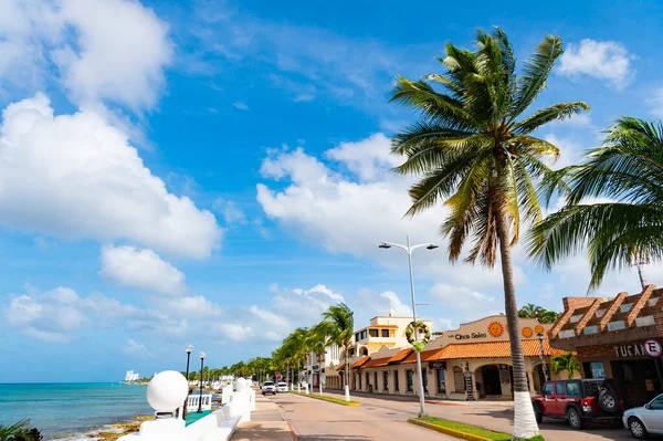 Cozumel México Diciembre 2015 Paseo Marítimo Verano Palm Seafront — Foto de Stock