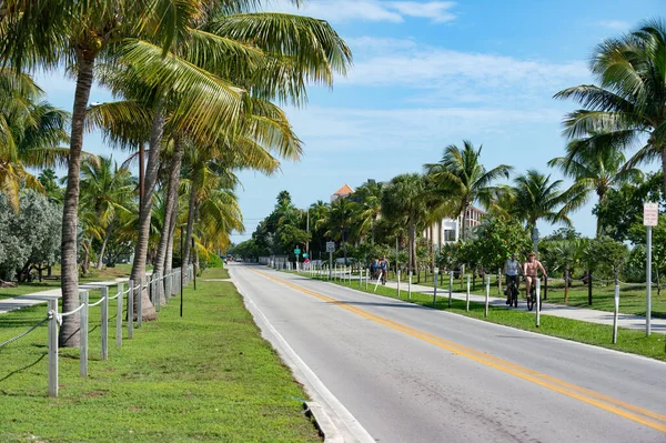 Key West Florida Enero 2016 Camino Avenida Con Palmeras — Foto de Stock