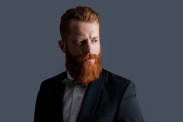 Обличчя Бородатого Чоловіка Офіційному Одязі Tux Ізольовано Сірому Фоні Чоловік — стокове фото