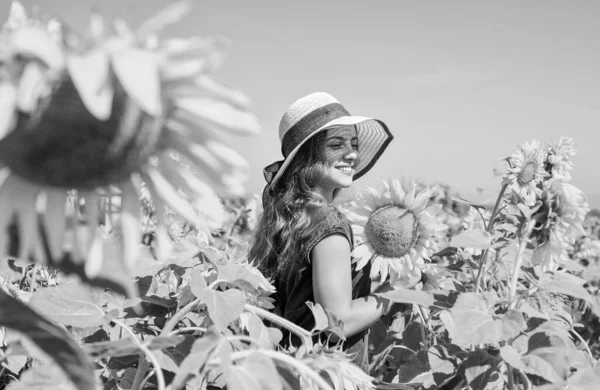 Imádnivaló Rusztikus Gyermek Lány Élvezni Nyáron Napraforgó Mező Boldog Nap — Stock Fotó