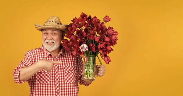 stock image happy old retired man in hat point finger on spring tulip flowers on yellow background.