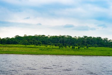 Nehirle nehir kenarı doğa manzarası. Yeşil çimenli nehir kenarı manzarası. Nehir kenarındaki doğa manzarası ve ufuk çizgisi. Nehir kenarındaki doğa manzarasının fotoğrafı..