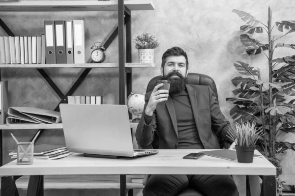 Улыбаясь Уверенно Бородатый Босс Исследование Онлайн Ноутбуке Держать Кофе Офисе — стоковое фото
