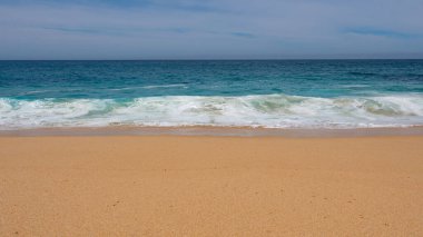 Yaz deniz yaban ördekleri plajı. Yaz deniz manzaralı tatil. Kum ve denizle kaplı yaz deniz manzarası. Yaz deniz manzarasının fotoğrafı.