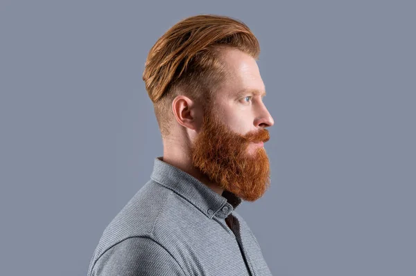 Profile Unshaven Man Long Beard Isolated Grey Background Studio Shot — Stock Photo, Image