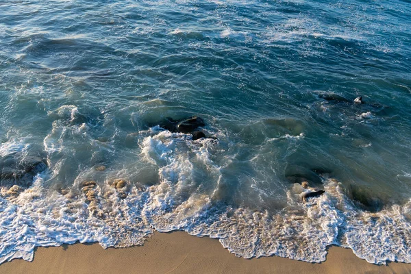 바다에서 헤엄치는 바다사자입니다 캘리포니아 바다사자 자연의 동물이죠 바다사자 동물의 사진입니다 — 스톡 사진
