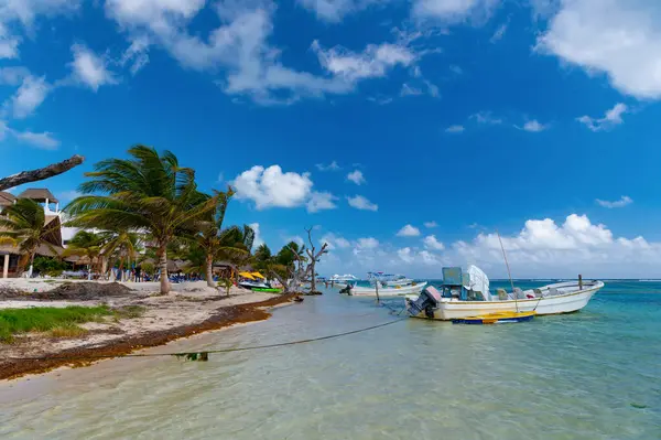 Costa Maya México Febrero 2016 Barco Playa Verano Con Palmeras — Foto de Stock