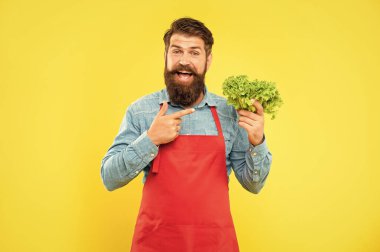 Happy man greengrocer in apron pointing finger at fresh leaf lettuce yellow background, shopkeeper.