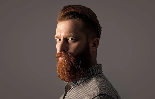 Studio Portrait Bearded Guy Beard Care Handsome Bearded Guy Has — Stock Photo, Image
