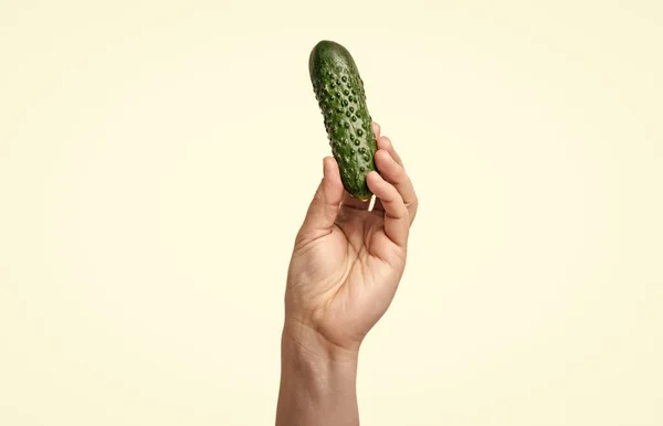 Ripe Cucumber Vegetable Hand Isolated White Background — Photo