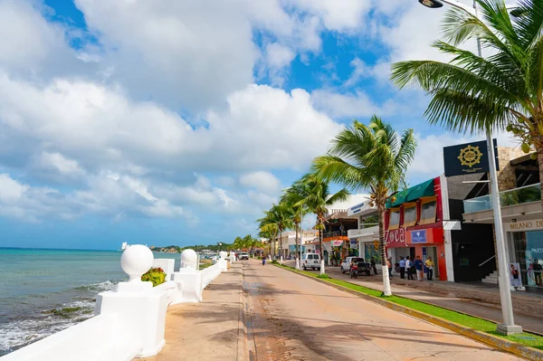 Cozumel Meksika Aralık 2015 Palmiyelerle Birlikte Deniz Kenarında Yaz Gezisi — Stok fotoğraf