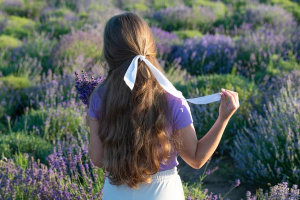 Provence Mädchen Auf Lavendelblütenfeld Den Sommerferien Bei Sonnenuntergang — Stockfoto