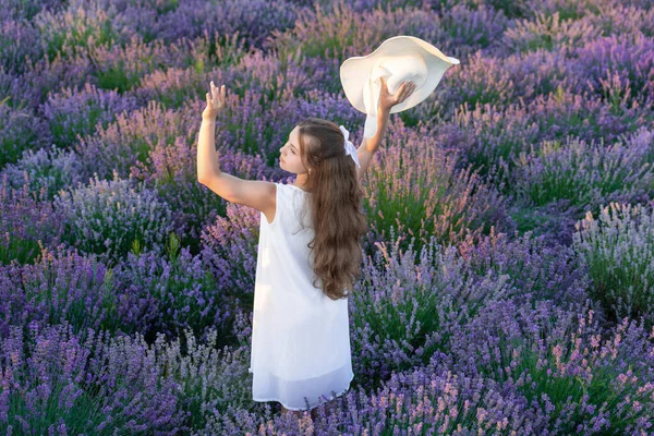 Rückansicht Von Mädchen Spaziergang Durch Lavendelfeld Sommer Stilvolles Sommermädchen Lavendelsonnenuntergang — Stockfoto