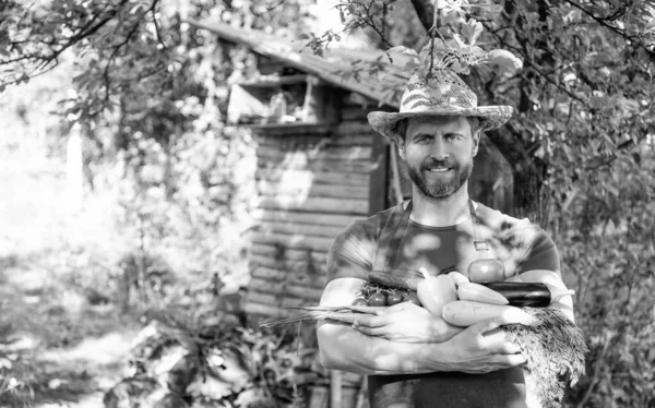 Hasır Şapkalı Adam Taze Olgun Sebzeleri Tutuyor Organik Gıda — Stok fotoğraf