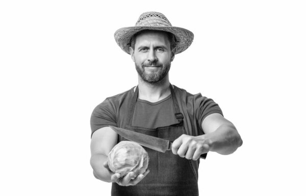 man in apron hold cabbage and knife isolated on white background.