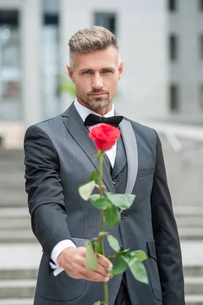 Έννοια Της Δέσμευσης Σμόκιν Γιορτάζει Τον Αρραβώνα Άντρας Δώρο Τριαντάφυλλο — Φωτογραφία Αρχείου
