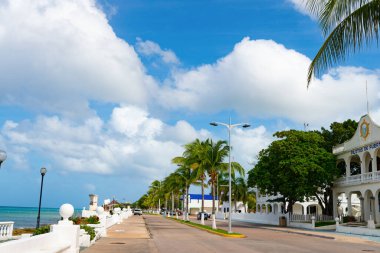 Cozumel, Meksika - 24 Aralık 2015: Deniz kenarında yaz gezisi iskelesi.