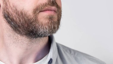 Sakallı, sıradan gömlek giyen sakallı adamın yakın plan görüntüsü. Gri arka planda sakallı bir adam. Stüdyoda sakallı bir adam var. Sakallı adamın fotoğrafı..