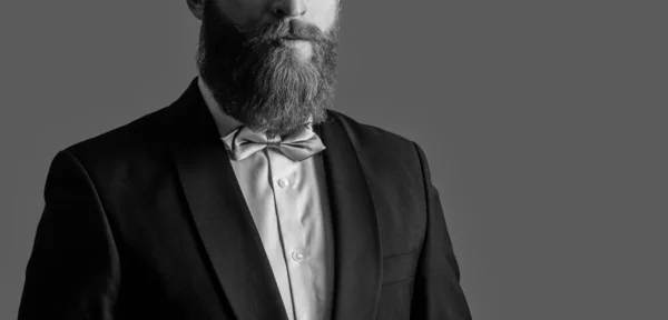长胡子的理发师 没有刮胡子的脸和胡子 在灰色的复制空间隔离的碗形工作室里 有胡子和胡须的爱尔兰男性 — 图库照片
