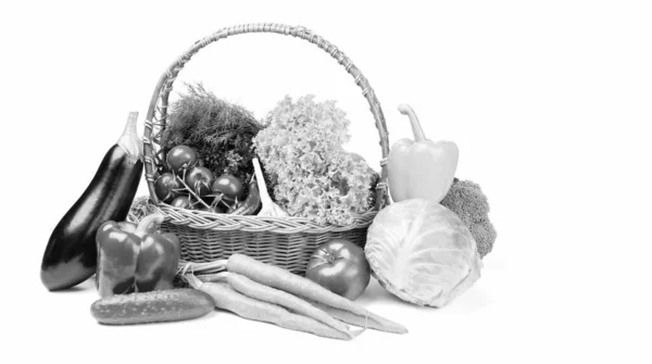 Ποικιλία Νωπών Και Ώριμων Λαχανικών Πλήρες Καλάθι Που Απομονώνονται Λευκό — Φωτογραφία Αρχείου
