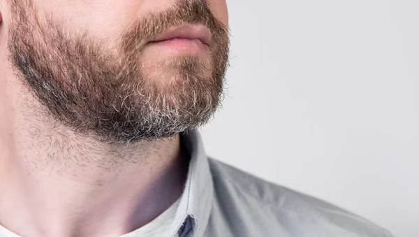 Крупный План Бородатого Человека Бородой Повседневной Рубашке Бородатый Человек Бородой — стоковое фото
