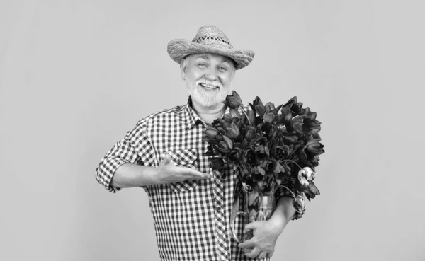 Happy Old Bearded Man Hat Presenting Spring Tulip Flowers Yellow — Fotografia de Stock