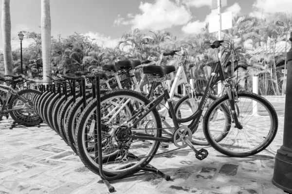Santo Domingo Δομινικανή Δημοκρατία Φεβρουαρίου 2016 Ενοικίαση Ποδηλάτου Στο Πάρκινγκ — Φωτογραφία Αρχείου