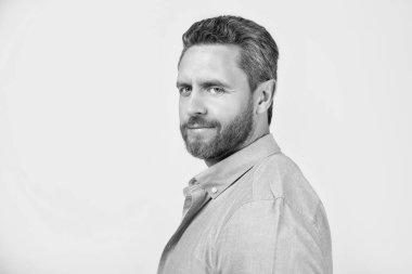 Stüdyoda sakallı, olgun bir adamın portresi. Sakallı, olgun bir adamın fotoğrafı. Kirli sakallı, normal gömlekli olgun bir adam. Gri arka planda sakallı, olgun bir adam..