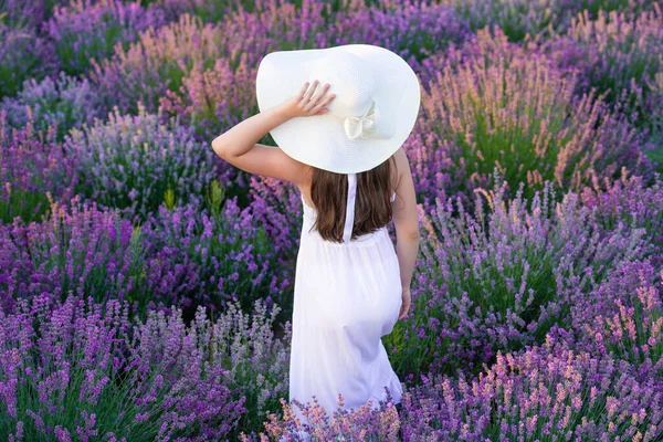 Rückansicht Eines Mädchens Das Lavendelblüten Posiert Schönes Mädchen Lavendelfeld Umgeben — Stockfoto